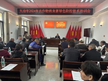 图片10.png