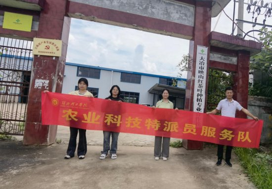 6.7白丽平