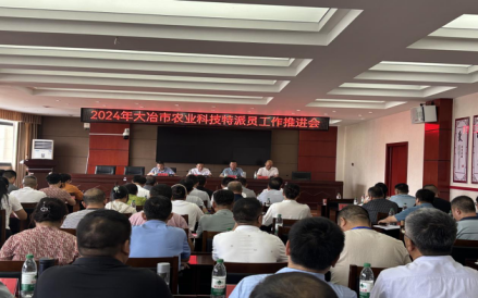 图片22.png