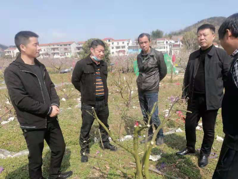 沙巴体育